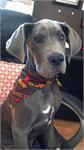 daycare pic 16 - zoey